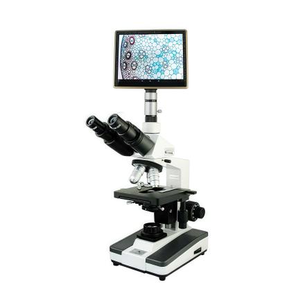 Varnishing XSP-BM-8CAP Tablet Microscope digitalization imagery High resolution