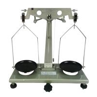 天马 J0104 学生天平 实验室称量仪器 200g量程0.02g精度