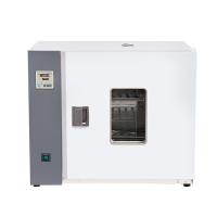 BENTING 101-3ABW horizontal blast drying oven up and down air outlet PID liquid crystal temperature control 205L