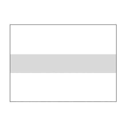 LENETA Form 26-2M 墙面无光泽卡纸 灰白色图表 刷涂辊涂测试