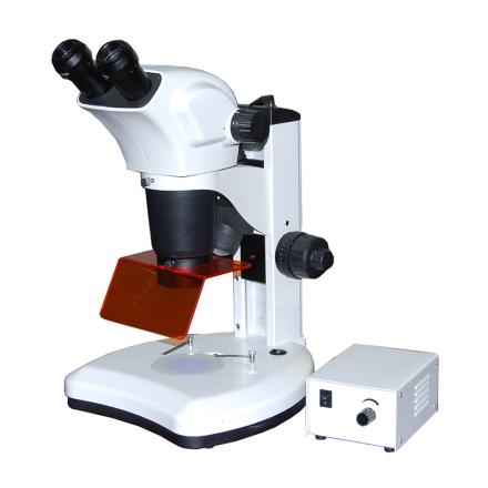 TEELEN XTL-20D Trinocular Fluorescence Microscope Continuous Variable Epitope Observation