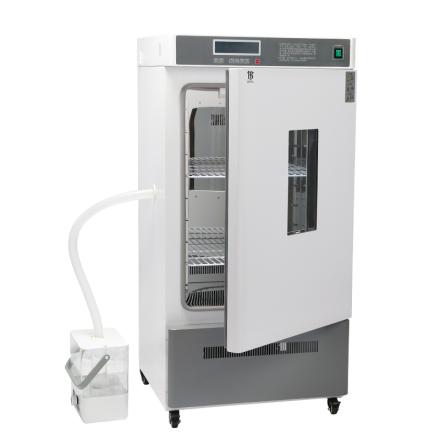 BENTING CBJX-250BX Incubator Microbial Incubator Mirror stainless steel studio Fluorine-free refrigeration