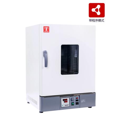 泰斯特 GP-65B干燥培养两用箱带程序模式双风道强制对流