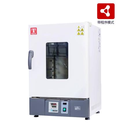 泰斯特 GX30B热空气消毒箱带程序模式立式双风道强制对流