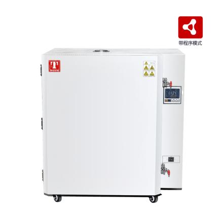 泰斯特 TWG-5050L高温干燥箱带程序模式 智能微电脑PID控温500℃