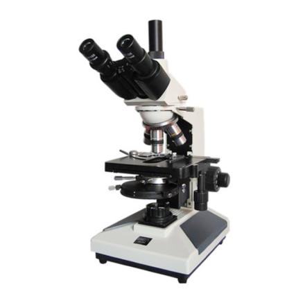 Varnishing BM-PH Phase Contrast Microscope Low Contrast in Vivo Samples
